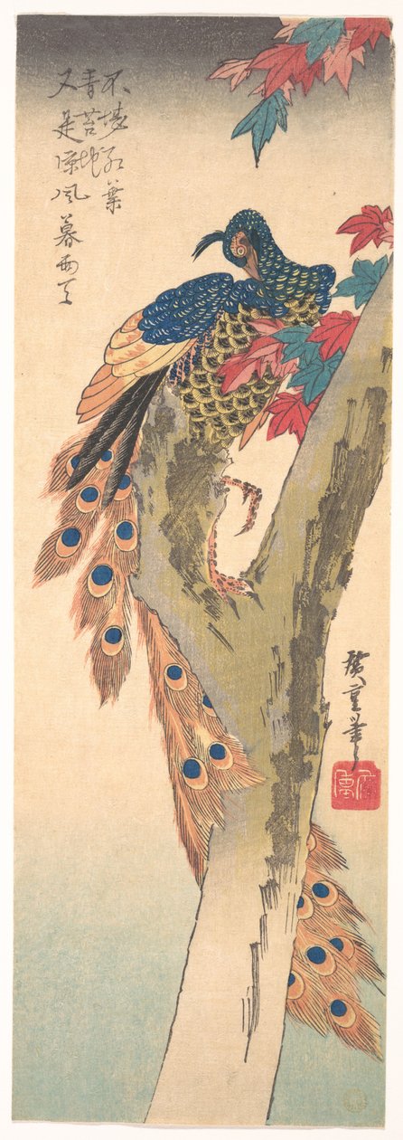Egy páva, amely egy juharfán ül alkotó: Utagawa Hiroshige