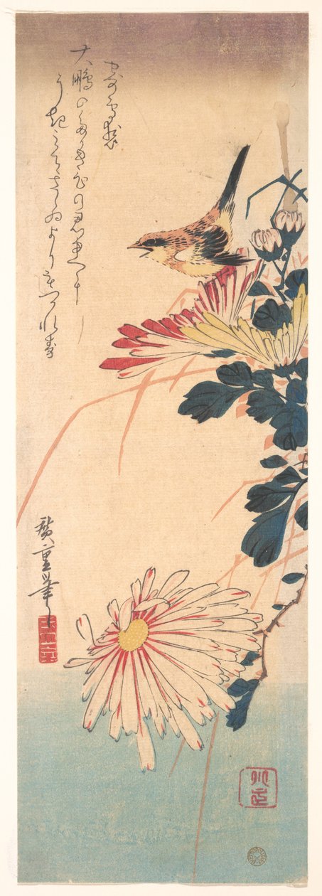 Ein Zaunkönig und Chrysanthemen alkotó: Utagawa Hiroshige