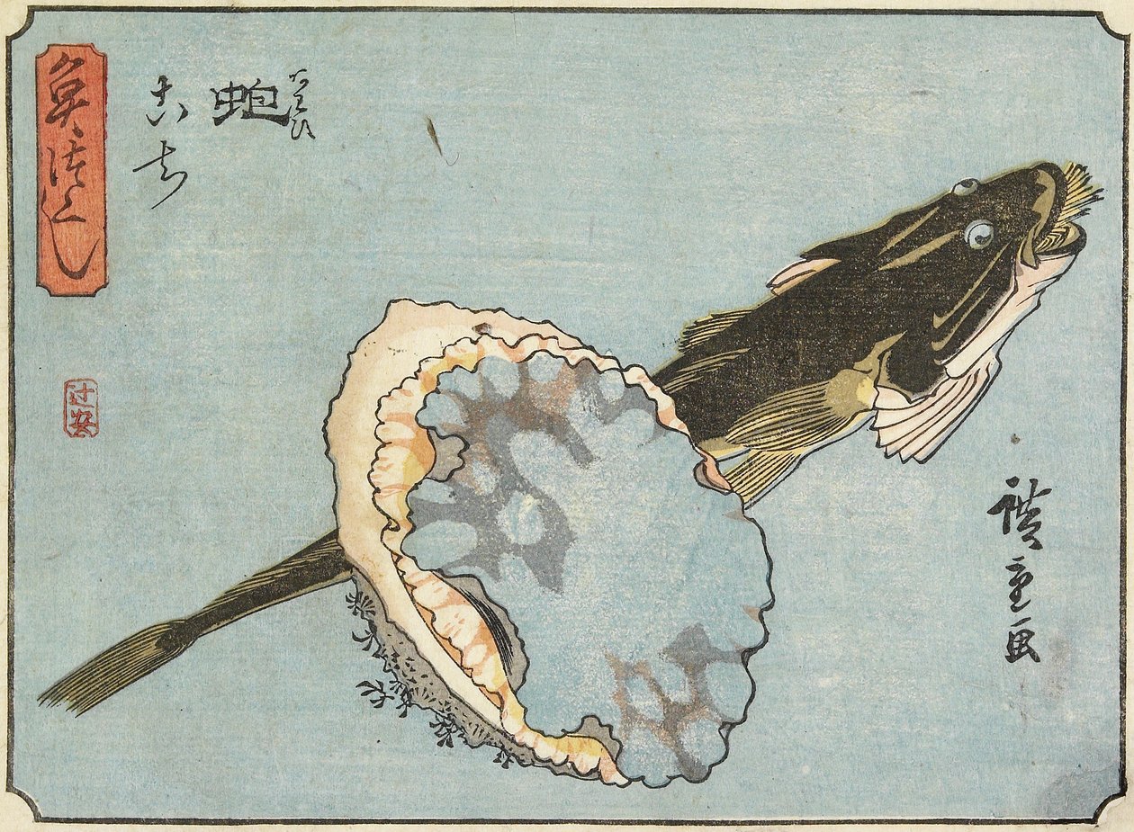 Abalone és Flathead, 1830-1844 alkotó: Utagawa Hiroshige