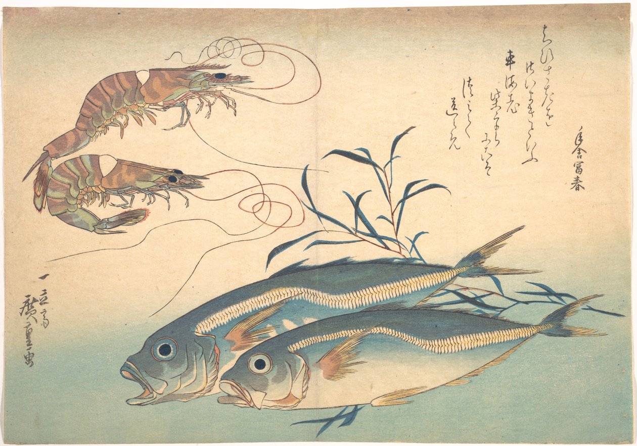 Aji hal és kuruma garnéla, az Uozukushi (Mindenféle hal) című sorozatból alkotó: Utagawa Hiroshige