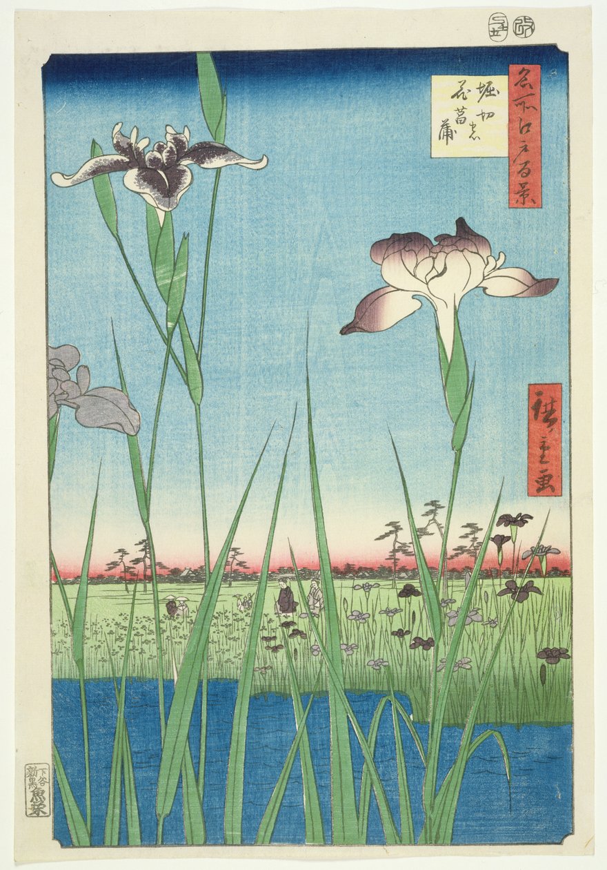 BM.Cat.440 Irises, Horikin, No.56 a „100 Views of Edo” sorozatban, („Meisho Edo hyakkei”), pub. 1857, (színes fatömbnyomat) alkotó: Utagawa Hiroshige