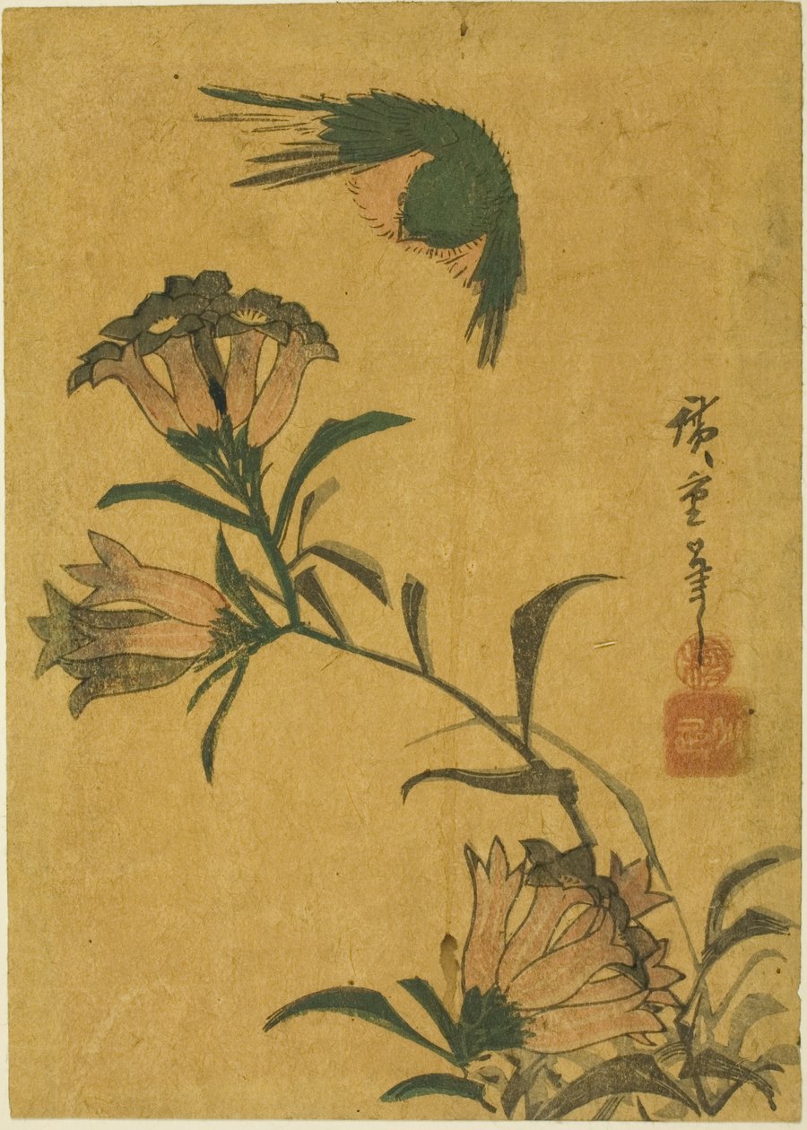 Madár és tárnics alkotó: Utagawa Hiroshige