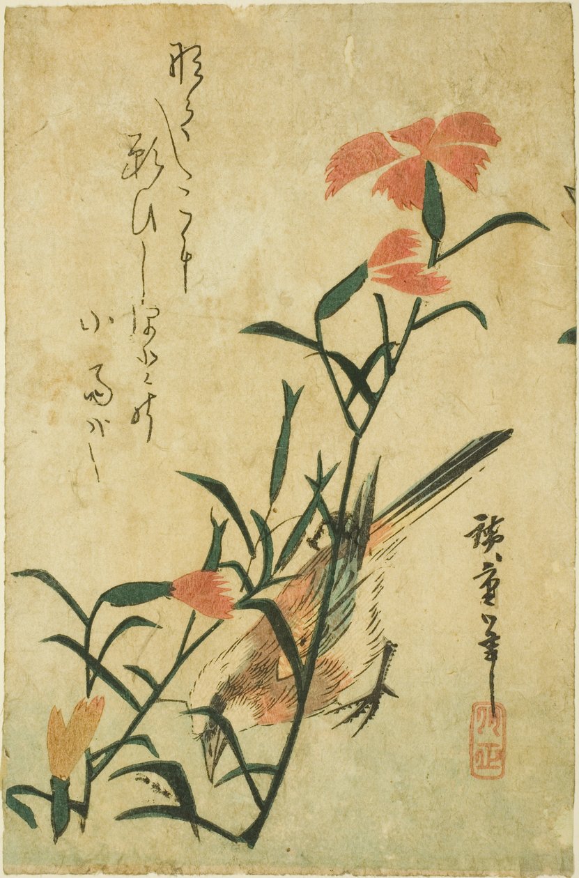 Madár és vad szegfű alkotó: Utagawa Hiroshige