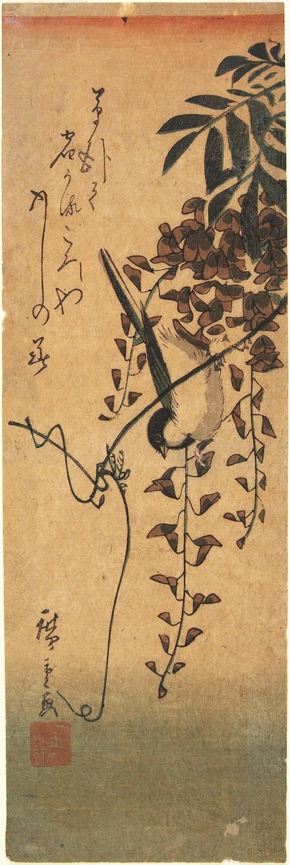 Vogel auf Glyzinienranke alkotó: Utagawa Hiroshige