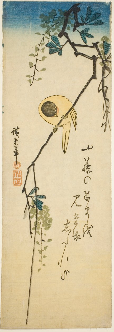 Madár selymes wisteria alkotó: Utagawa Hiroshige