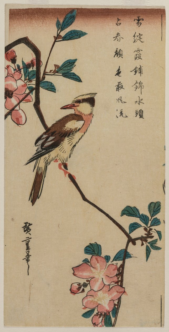 Black-Naped Oriole (koreai poszcsa) egy teremrákon alkotó: Utagawa Hiroshige