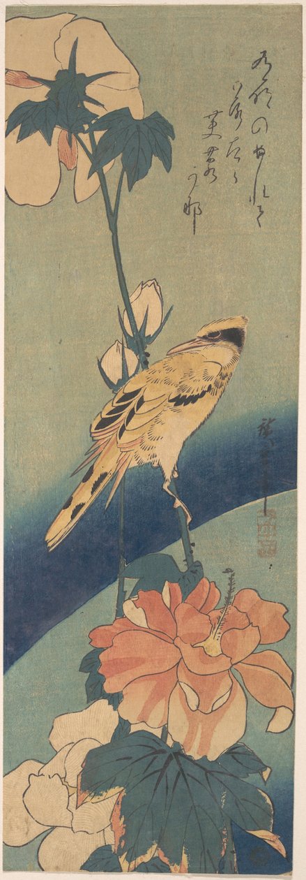 Schwarzrückenpirol auf einem Hibiskusstängel alkotó: Utagawa Hiroshige