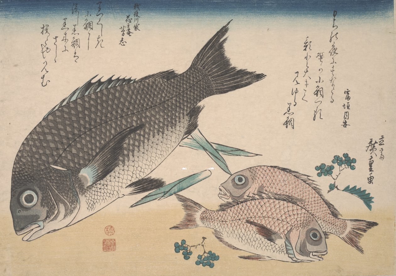 Fekete-tengeri keszeg, kis tengeri keszeg, spárgahajtások és sansho bors, 1830 körül alkotó: Utagawa Hiroshige