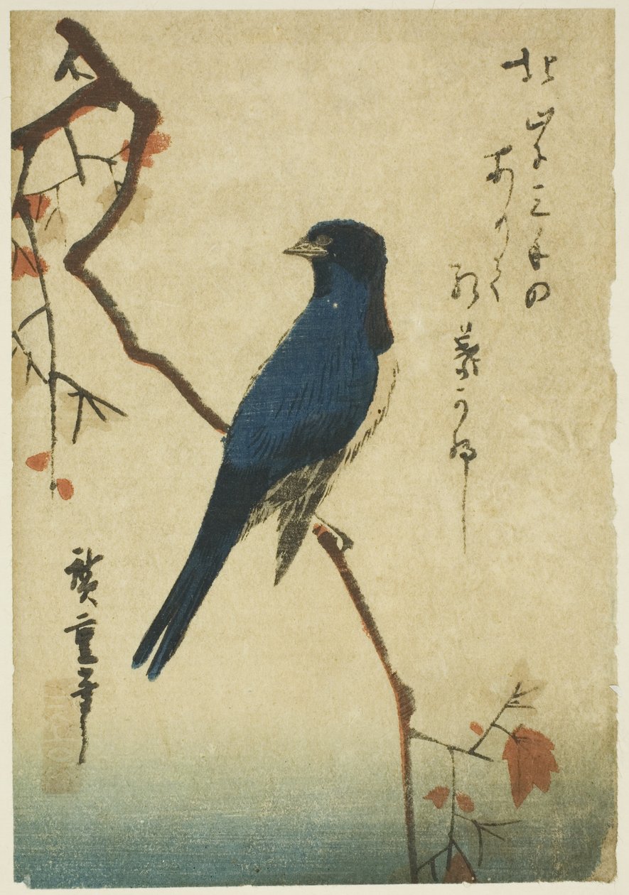 Kék madár juhar ágon alkotó: Utagawa Hiroshige