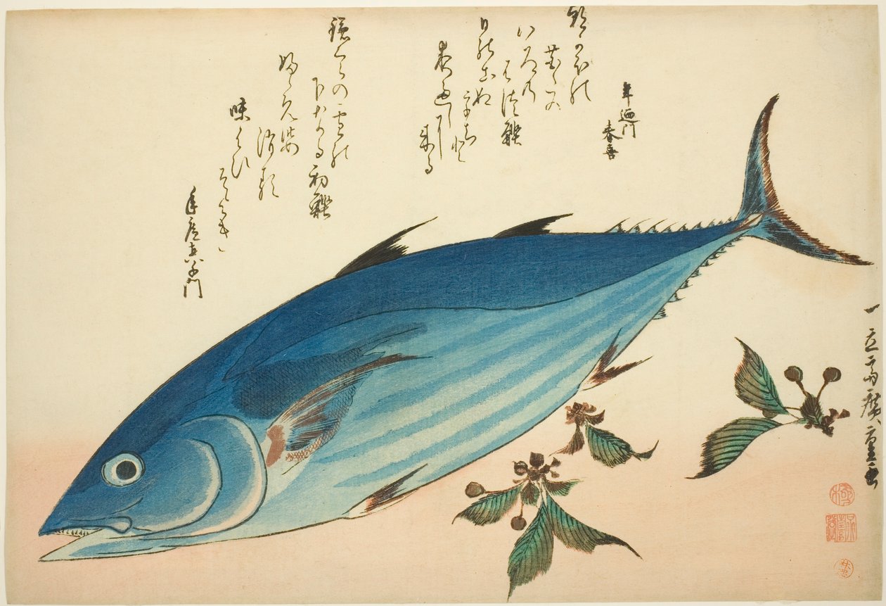 Bonito és szaxifrage, egy névtelen halsorozatból alkotó: Utagawa Hiroshige