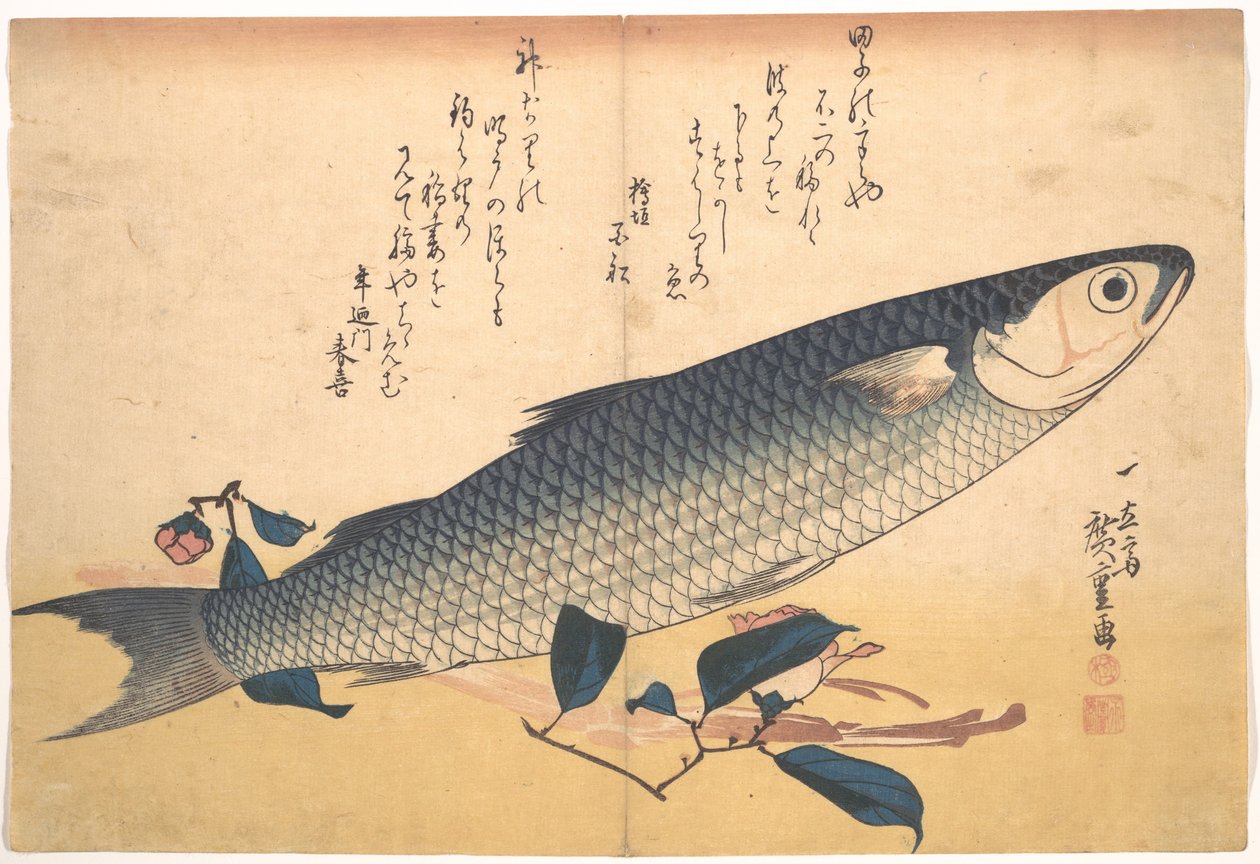 Bora hal kaméliával, az Uozukushi (Mindenféle hal) sorozatból alkotó: Utagawa Hiroshige
