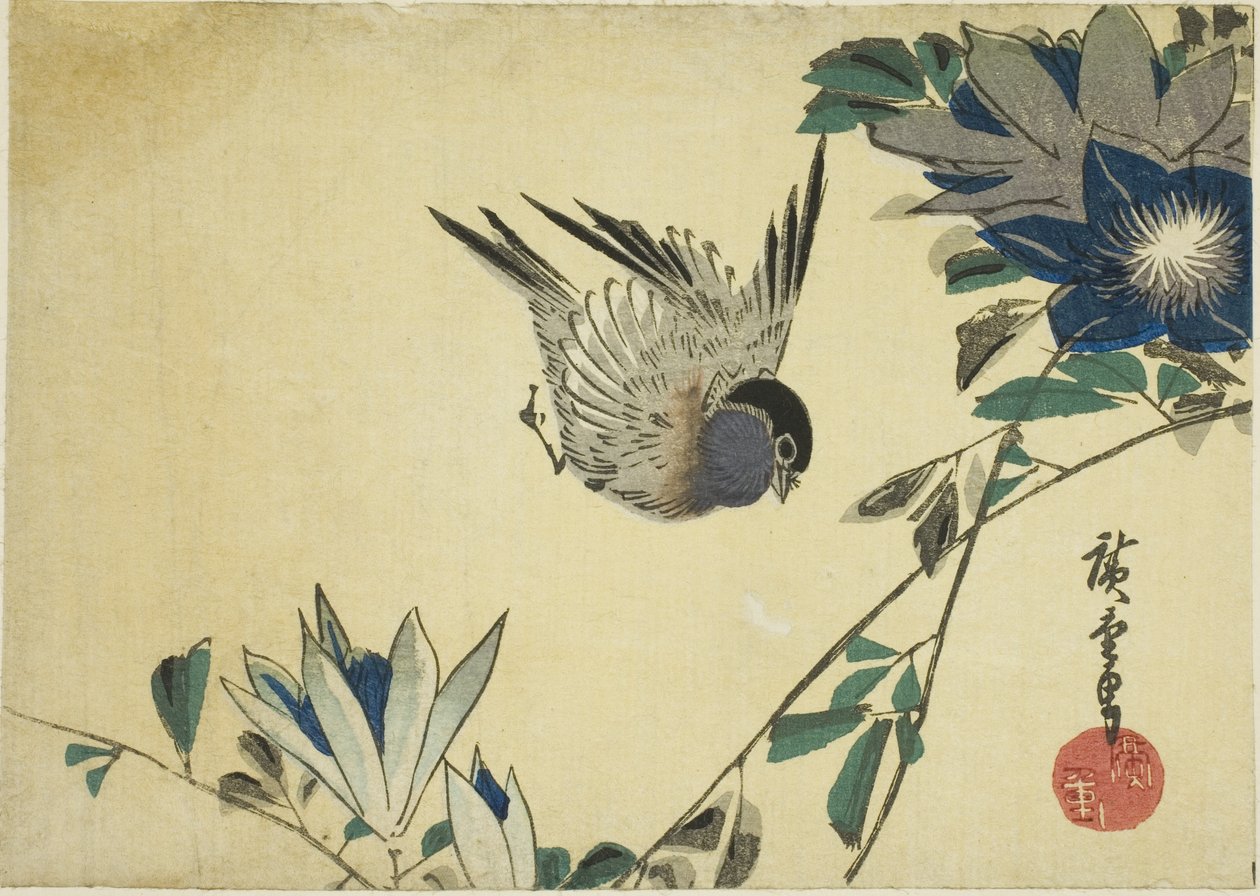 Süvöltő és klematisz alkotó: Utagawa Hiroshige