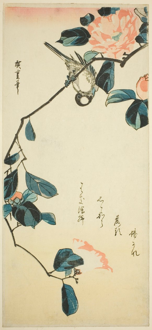 Süvöltő a kamélia ágon alkotó: Utagawa Hiroshige