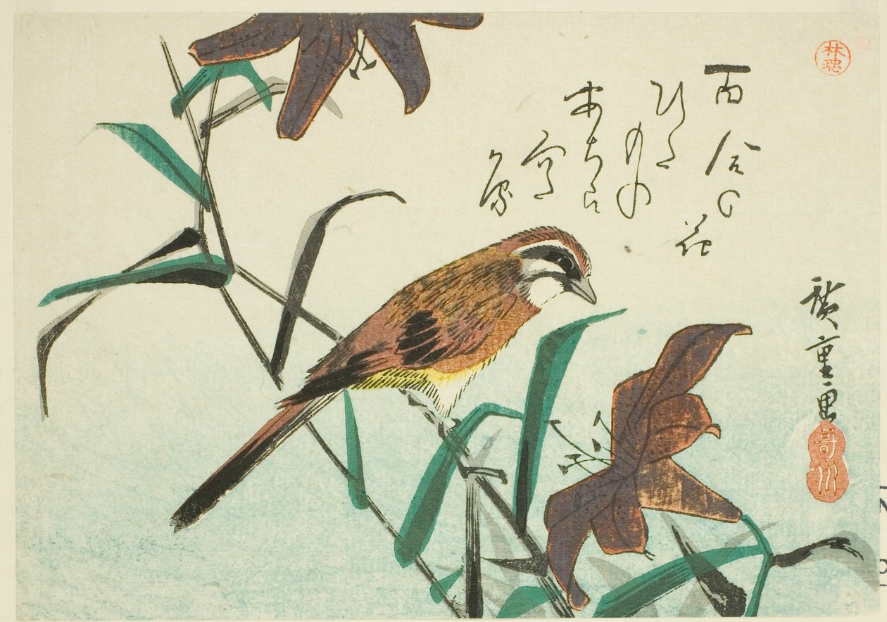 Sármány és liliomok alkotó: Utagawa Hiroshige