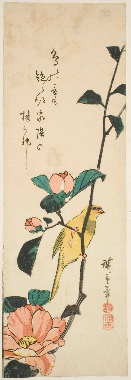 Kanári és kamélia alkotó: Utagawa Hiroshige