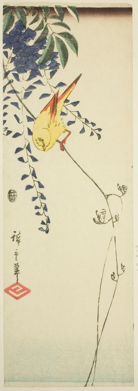 Kanári és Wisteria alkotó: Utagawa Hiroshige