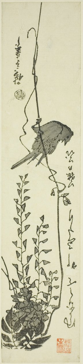 Kanári és Wisteria alkotó: Utagawa Hiroshige