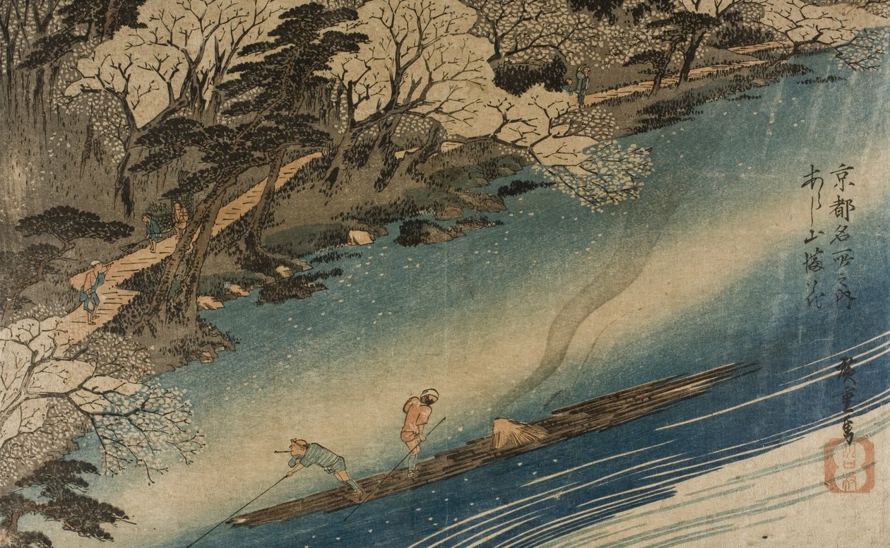 Teljes virágzásban lévő cseresznyevirágok Arashiyamában alkotó: Utagawa Hiroshige