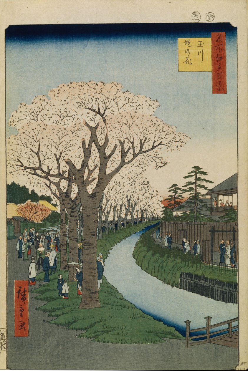 Cseresznyevirágok a Tama folyó partján Edo száz híres kilátása, 1856-1858 alkotó: Utagawa Hiroshige