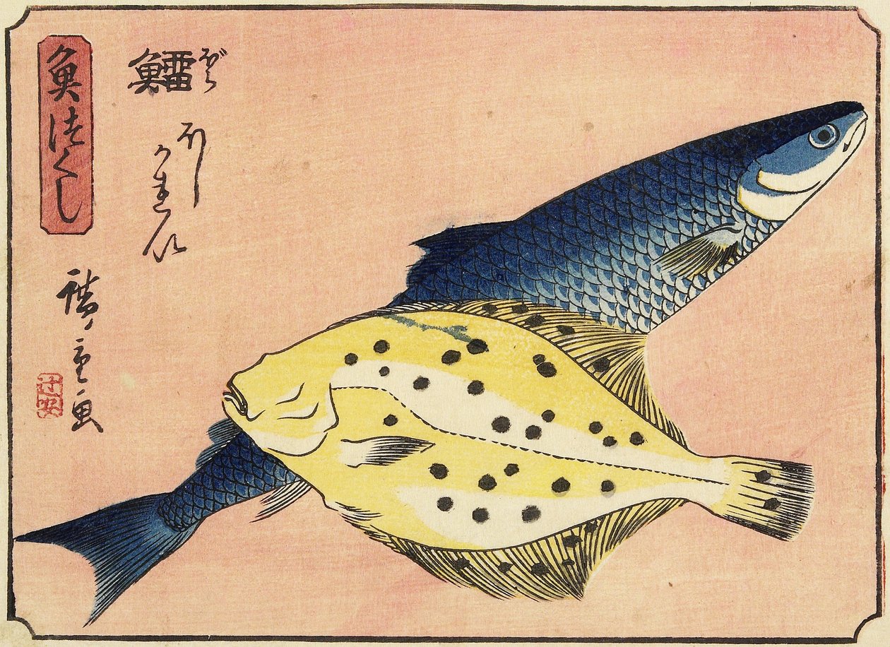 Tőkehal és laposhal, 1830-1844 alkotó: Utagawa Hiroshige