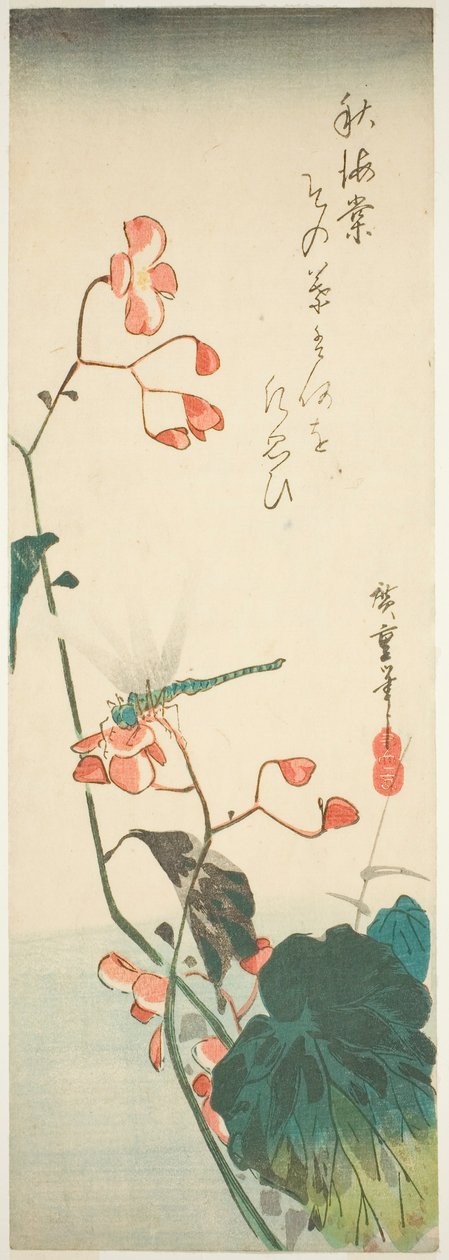 Szitakötő és begónia alkotó: Utagawa Hiroshige