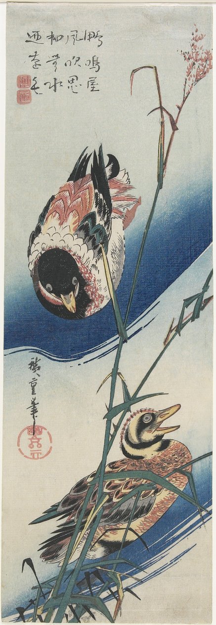 Kacsák és nádasok, 1834-1839 alkotó: Utagawa Hiroshige