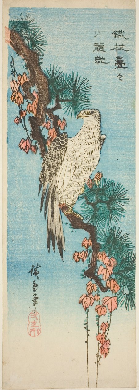 Sólyom borostyánnal borított fenyőágon alkotó: Utagawa Hiroshige