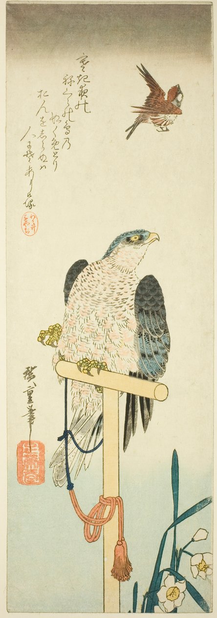 Sólyom, veréb és nárcisz alkotó: Utagawa Hiroshige