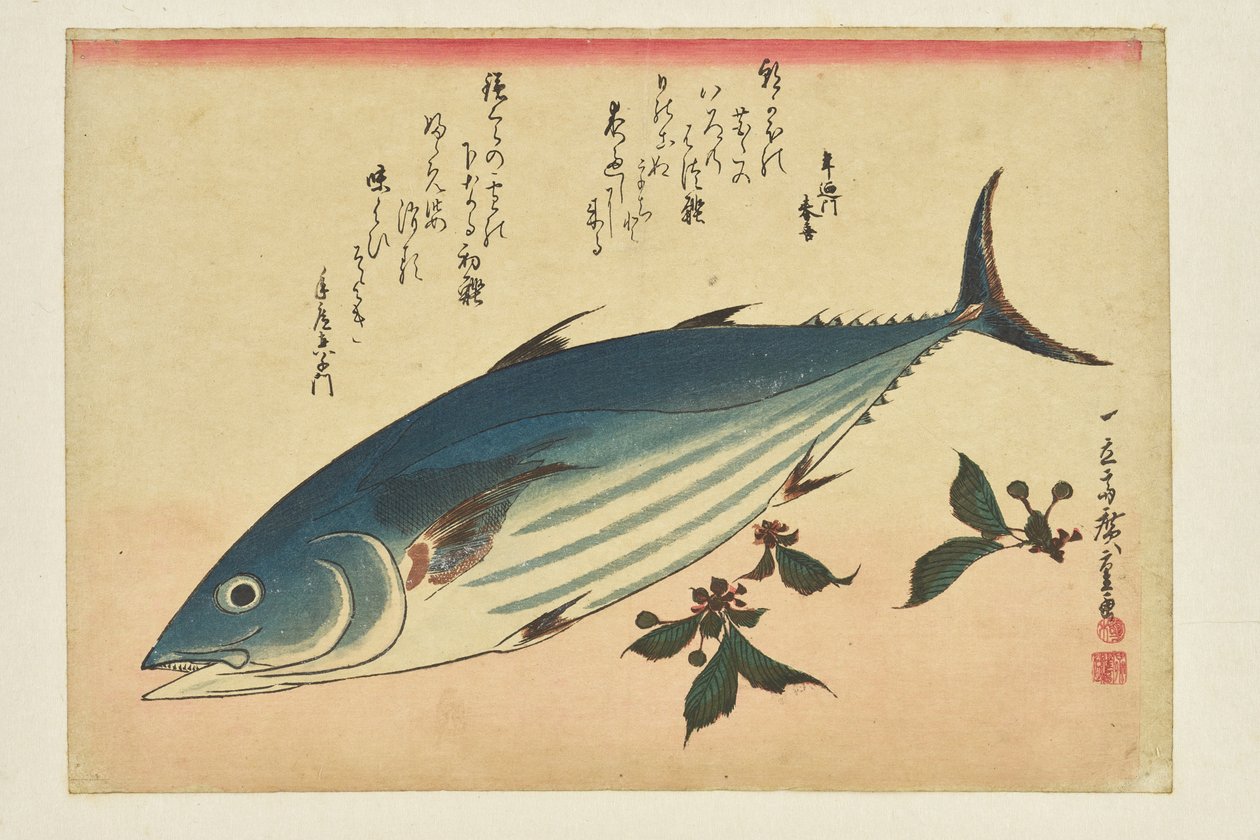 Halnyomat: Bonito és cseresznye az „Egy halraj” sorozatból alkotó: Utagawa Hiroshige