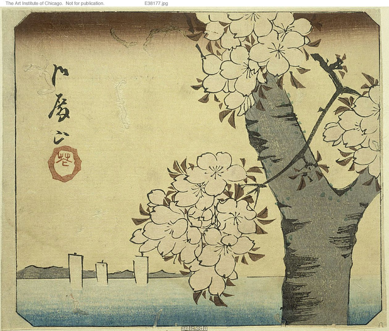 Virágok a Goten-hegyen (Gotenyama, hana), a „Kivágások Edo híres helyeiről (Harimaze Koto meisho)” sorozat lapjának egy része. alkotó: Utagawa Hiroshige