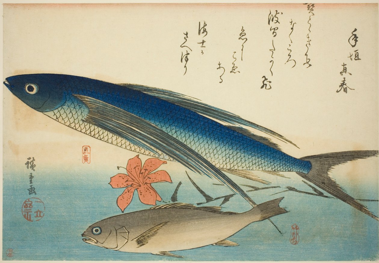 Repülőhal és Ichimochi, egy névtelen halsorozatból alkotó: Utagawa Hiroshige