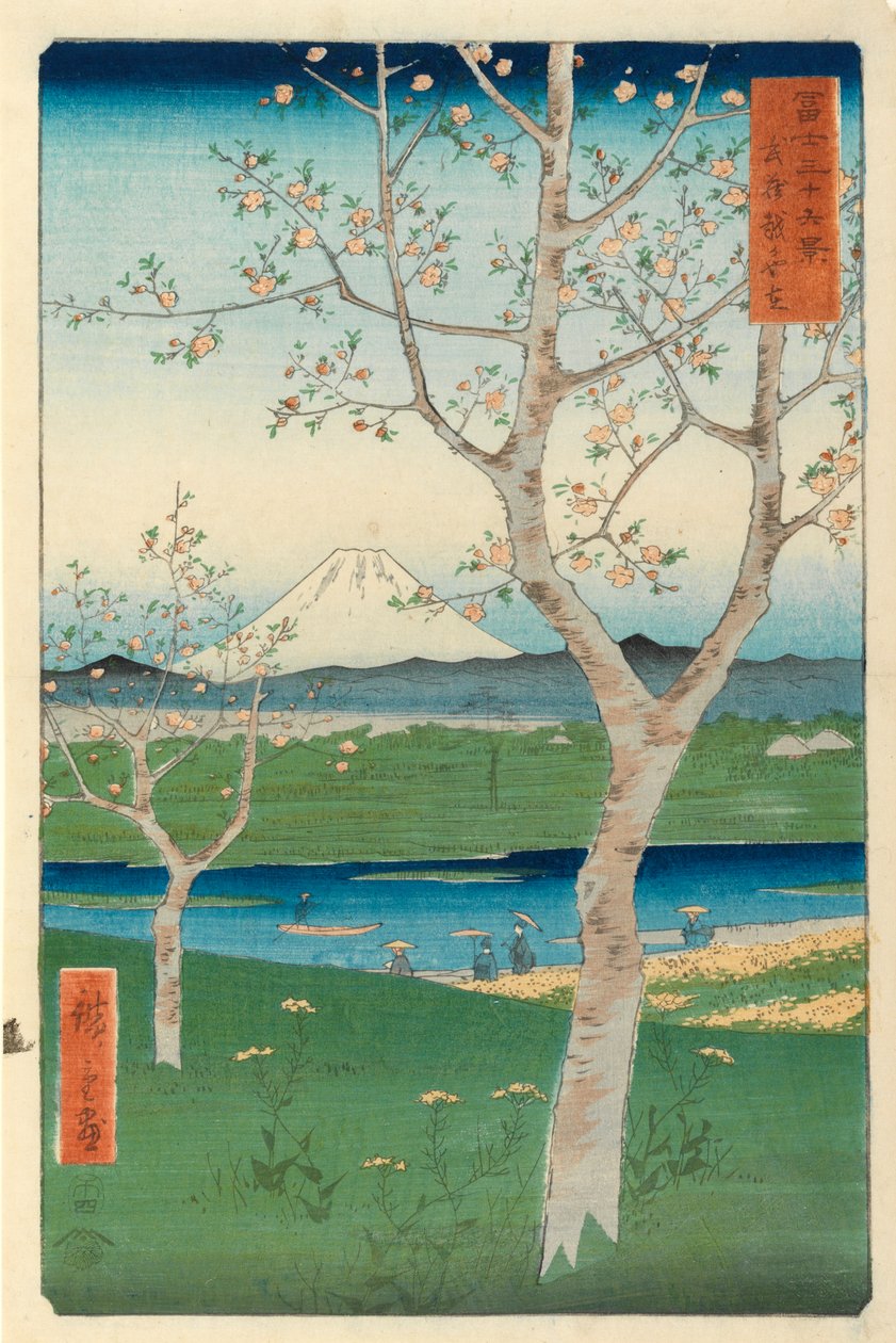Fuji a Koshigayából, Mushashi, No.14 a „36 Views of Mount Fuji” sorozatból, („Fuji Saryu Rokkei”) (színes fatömbnyomat) alkotó: Utagawa Hiroshige