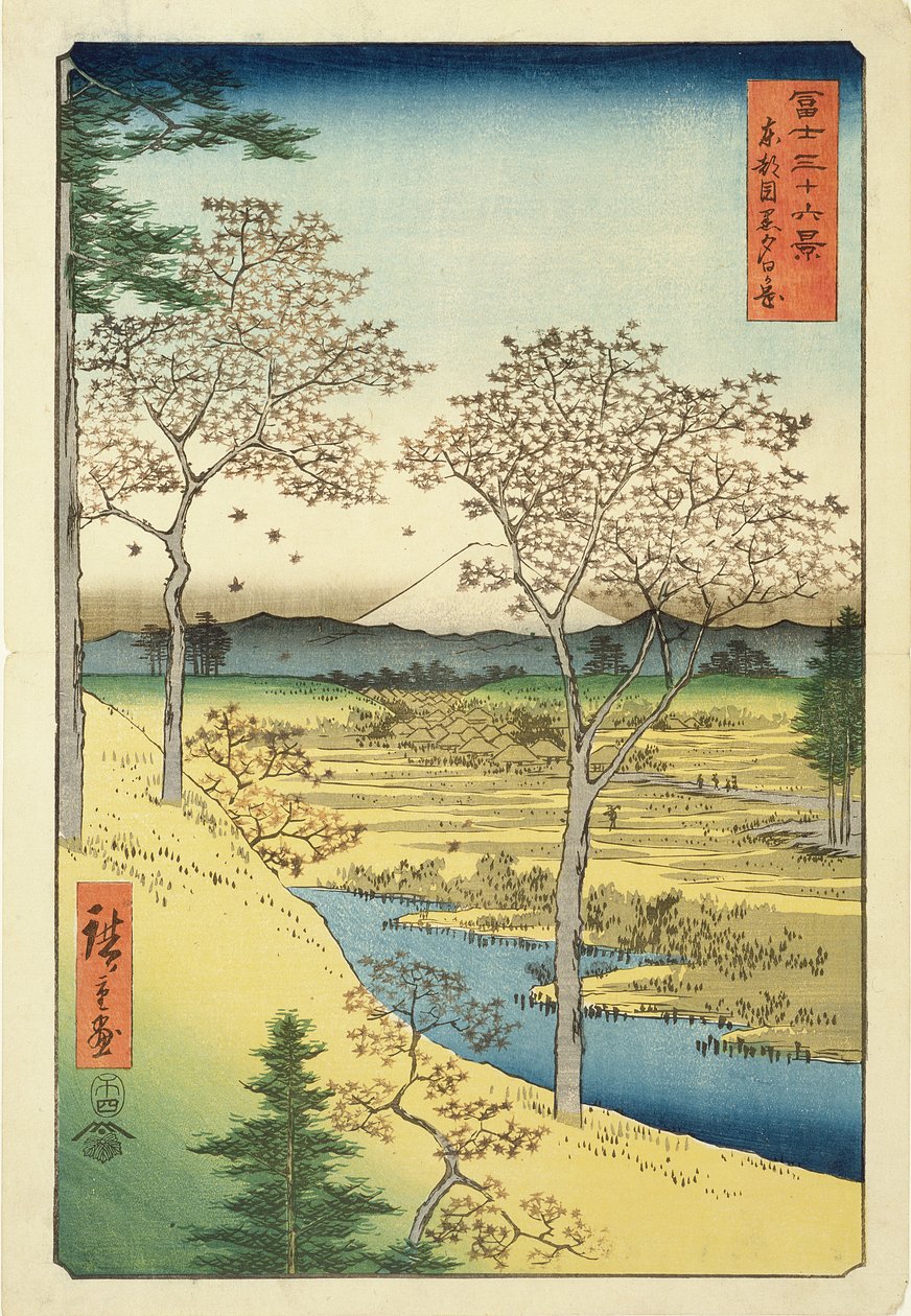 Fuji a Yuhi-Gától, Megwo, No.10 a „36 Views of Mt.Fuji” sorozatból („Fuji Saryu Rokkei”) (színes fatömbnyomat) alkotó: Utagawa Hiroshige