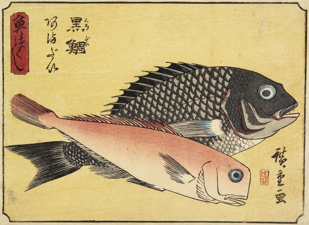 Aranyfejű és cseréphal, 1830-1844 alkotó: Utagawa Hiroshige