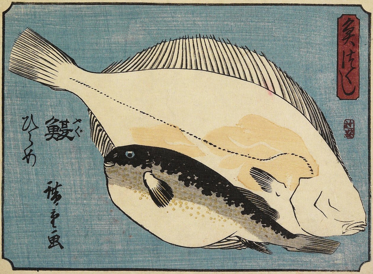 Gömbhal és lepényhal, 1830-1844 alkotó: Utagawa Hiroshige