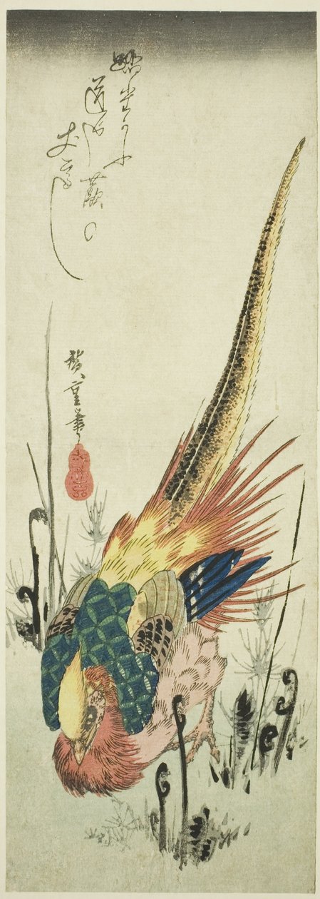 Arany fácán és páfrányok alkotó: Utagawa Hiroshige