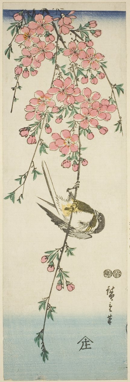 Széncinege és cseresznyevirág alkotó: Utagawa Hiroshige