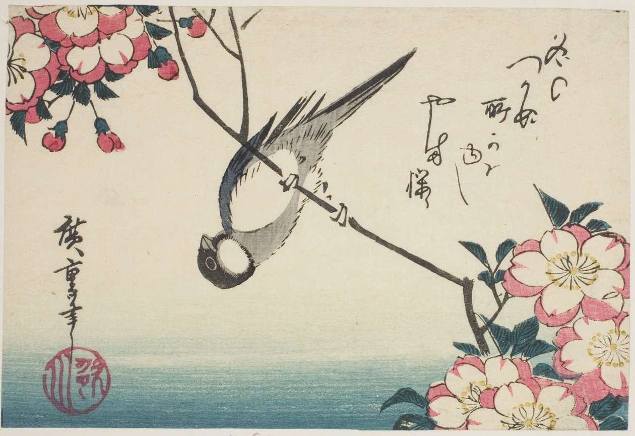 Széncinege a cseresznyevirág ágán alkotó: Utagawa Hiroshige