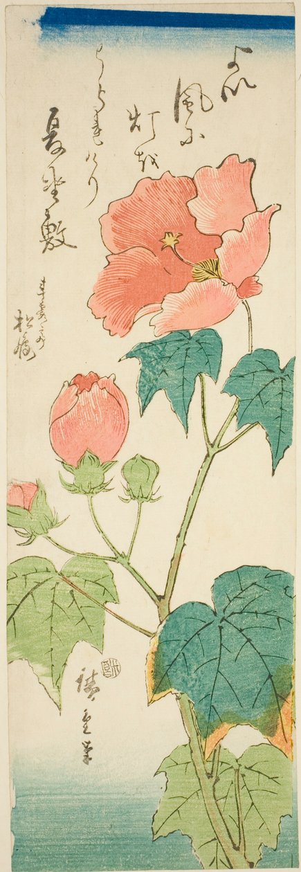 Hibiszkusz alkotó: Utagawa Hiroshige
