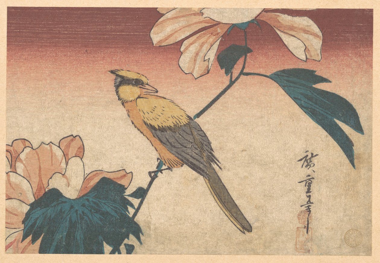 Hibiscus mutabilis és Jay alkotó: Utagawa Hiroshige