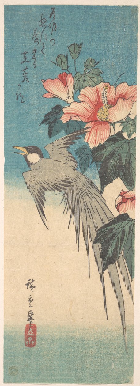 Hibiscus Mutabilis und Langschwanzvogel alkotó: Utagawa Hiroshige