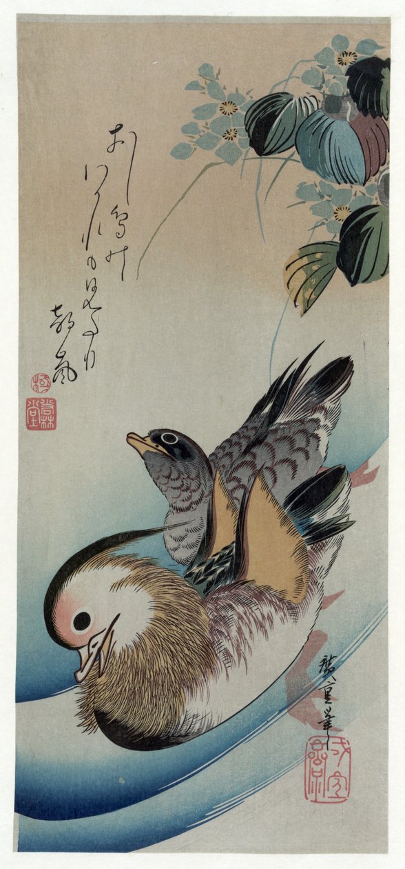 Hiroshige (1838) Két mandarin kacsa alkotó: Utagawa Hiroshige