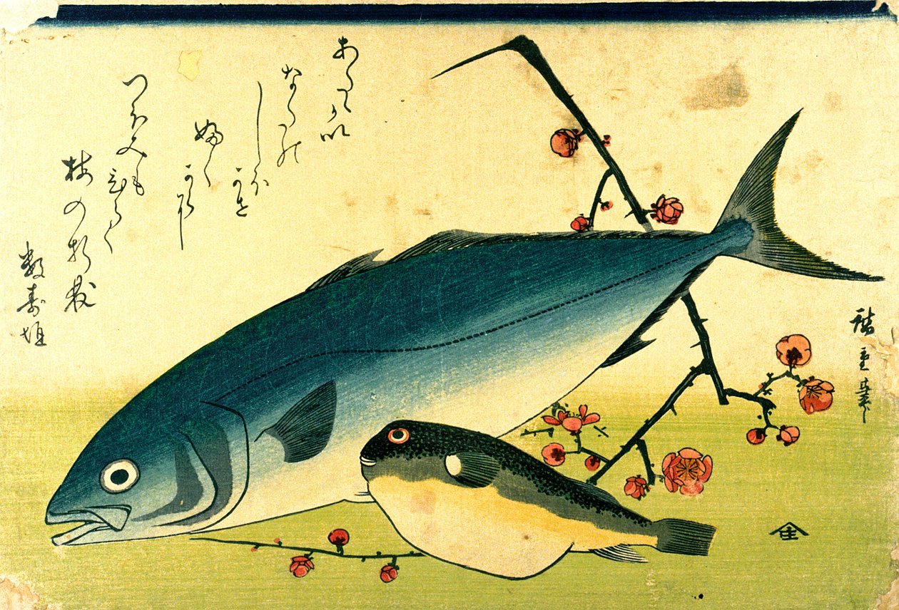 Hiroshige A Shoal of Fishes Fugu sárga farkú halak alkotó: Utagawa Hiroshige