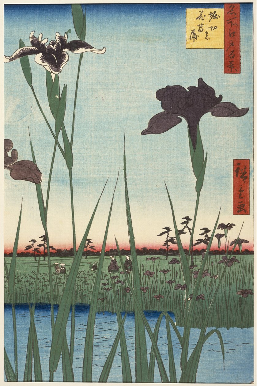 Horikiri Iris Garden (Horikiri no hanashōbu), az Edo száz híres képe című sorozatból (Meisho Edo hyakkei) alkotó: Utagawa Hiroshige