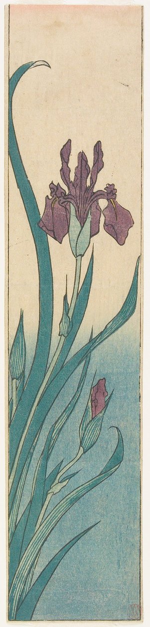 Iris alkotó: Utagawa Hiroshige