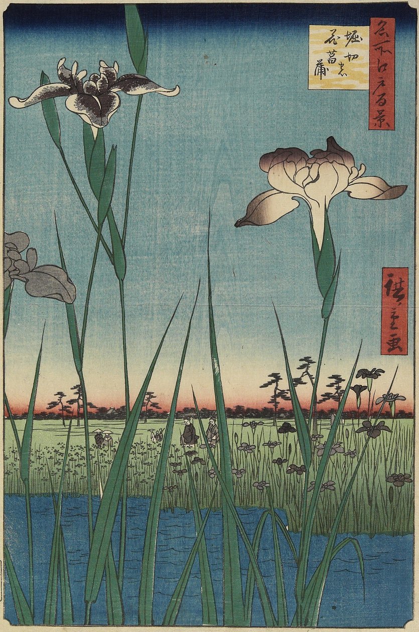 Iris Garden at Horikiri, May 1857 alkotó: Utagawa Hiroshige