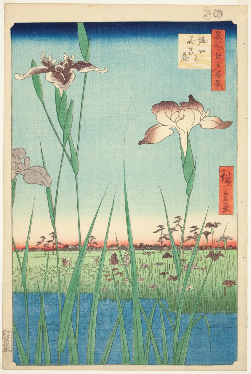 Irase s at Horikiri (Horikiri no Hanadokorobe), a ``Ridge d re d f s Views of Edo (Edo száz híres nézete) című sorozatból. alkotó: Utagawa Hiroshige