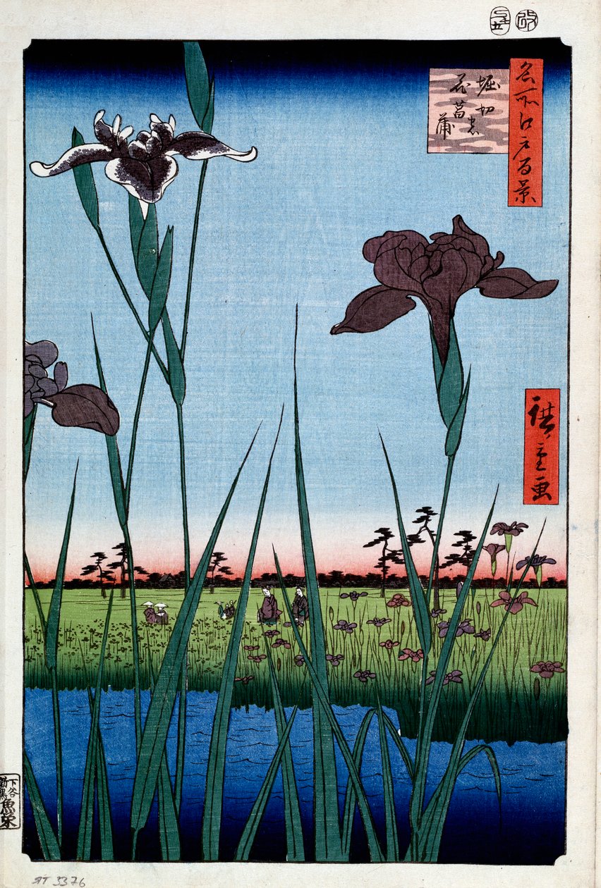 Íriszek a Horikiriben Edo száz híres képe, 1856-1858. alkotó: Utagawa Hiroshige