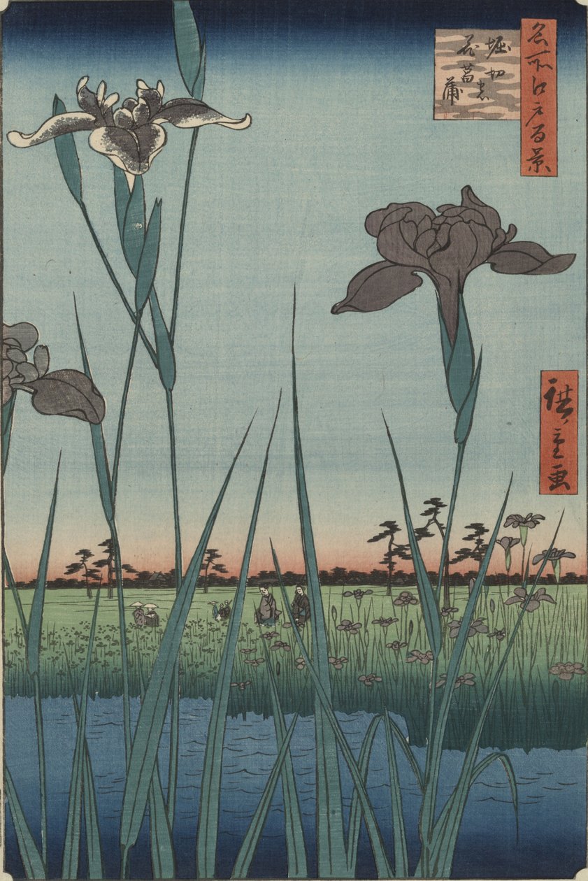 Horikiri íriszei, az „Edo száz híres látképe” című sorozatból alkotó: Utagawa Hiroshige