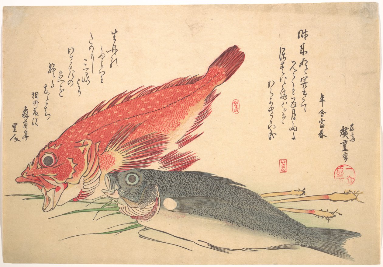 Isaki- és Kasago-hal, az Uozukushi sorozatból (Mindenféle hal) alkotó: Utagawa Hiroshige